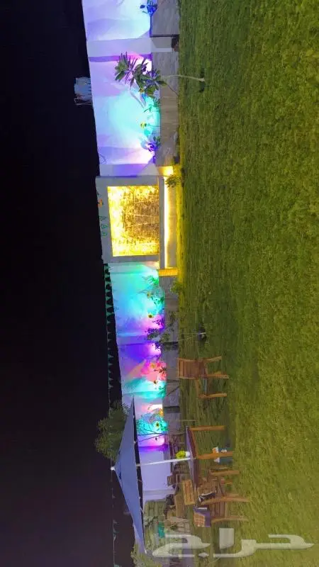 مطلوب مدربة ركوب خيل للنساء 2