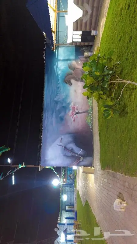 مطلوب مدربة ركوب خيل للنساء 3