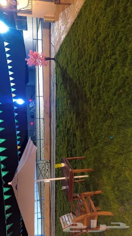 مطلوب مدربة ركوب خيل للنساء 8