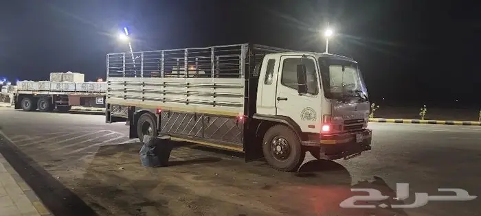 للايجار دينا و لوري 0
