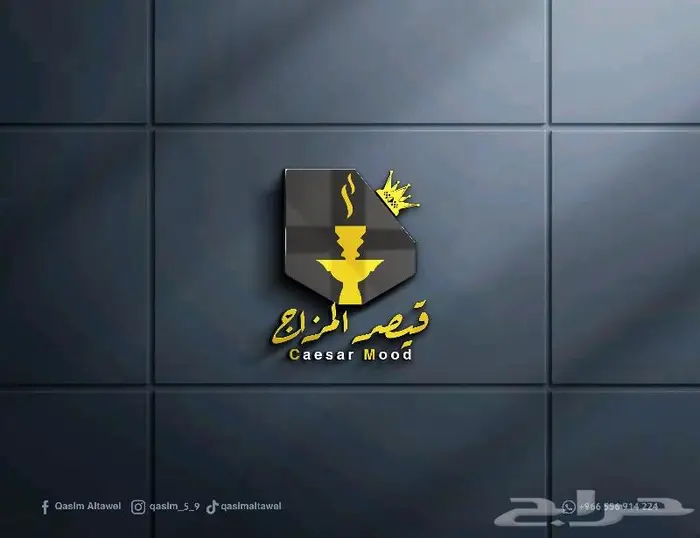 تصميم شعار تصميم لوجو احترافي 9