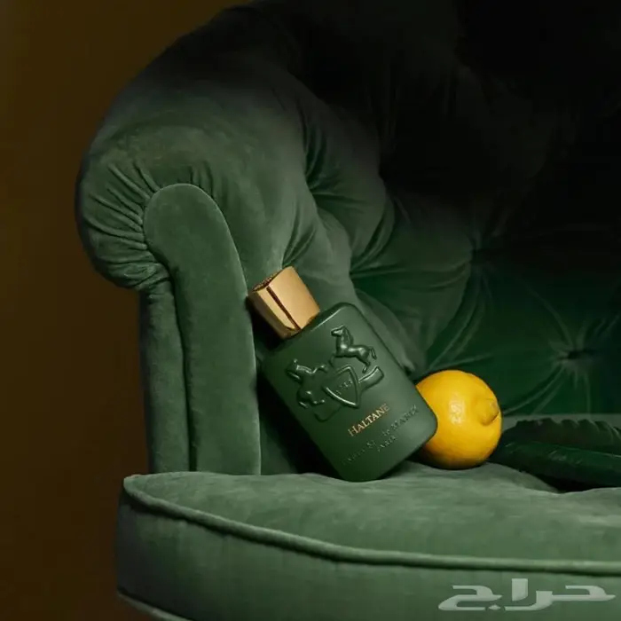 هلتان من دي مارلي وصدقني السعر راح يصدمك لاتشتري بي شوف 1