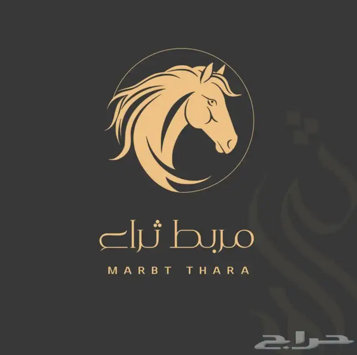 مطلوب مدربة ركوب خيل للنساء 0