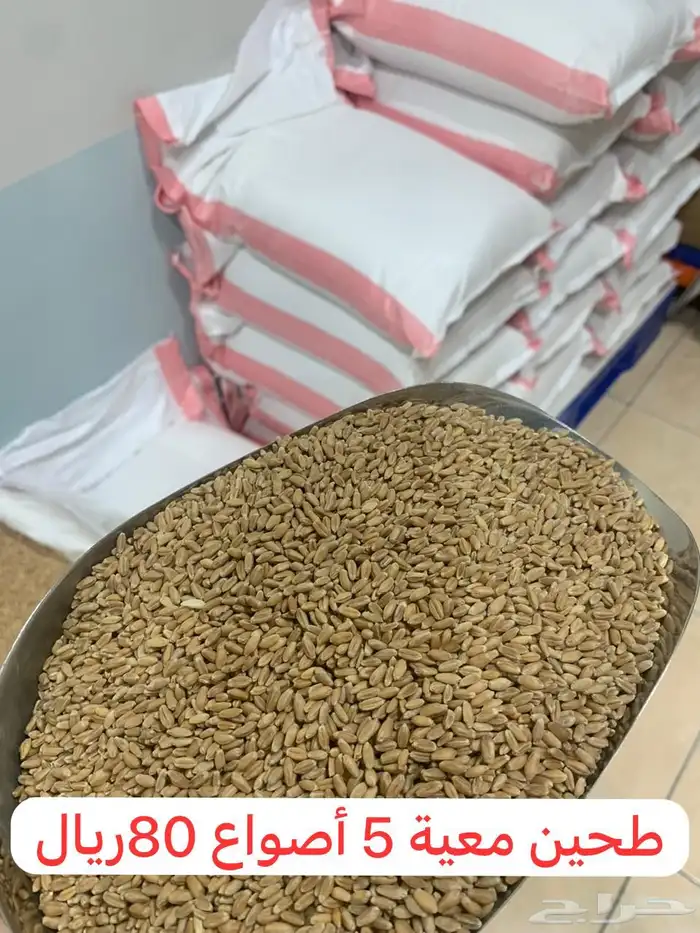 طحين معية ( بر معية ) 15