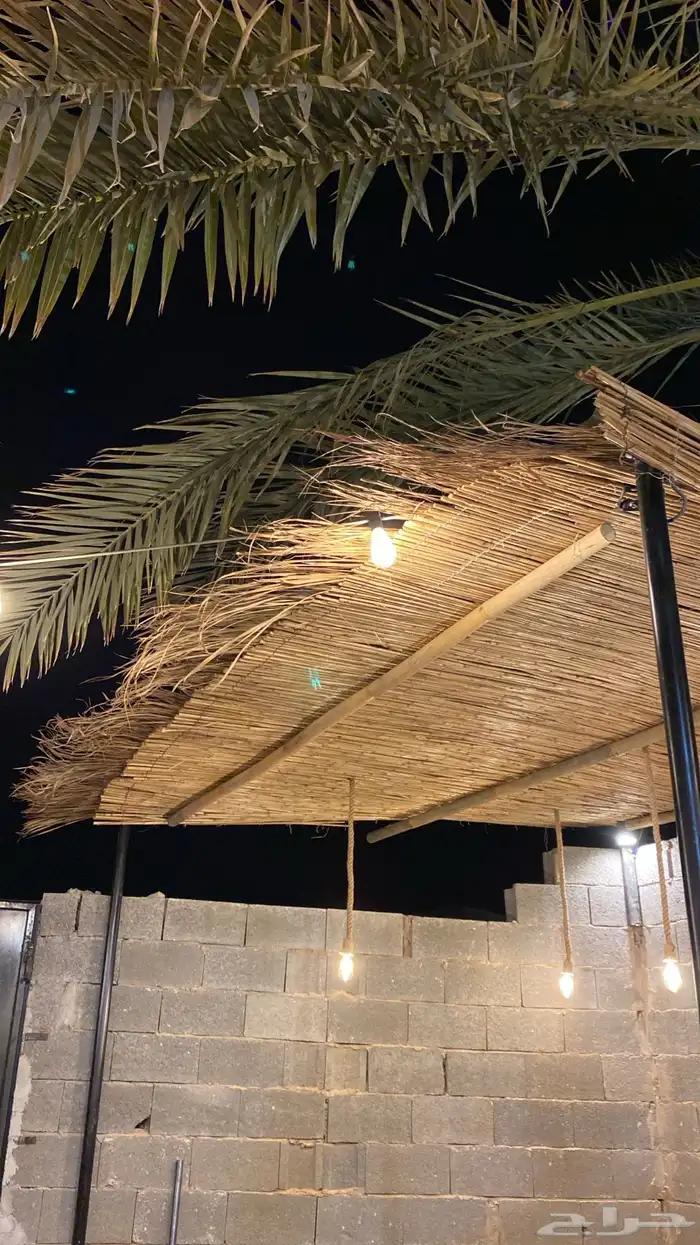 خيزران ديكور 4