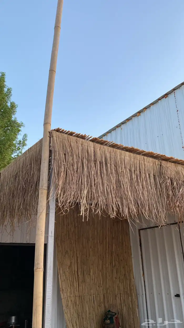 خيزران ديكور 5