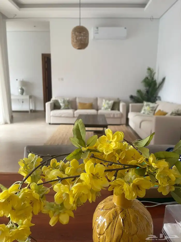 شاليه فاخر للايجار اليومي بالعمارية 4