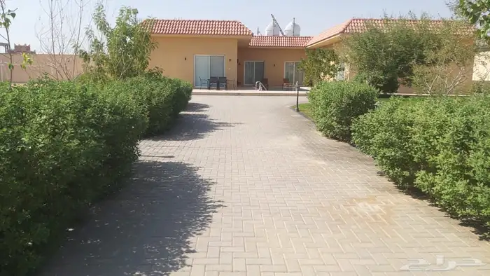 شاليه فاخر للايجار اليومي بالعمارية 34