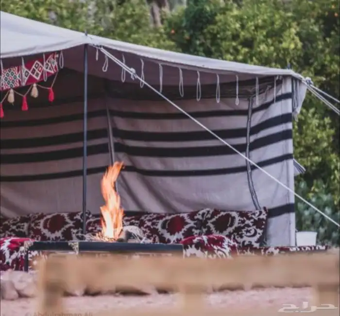 بيت شعر ابيض بيوت شعر بيض 14