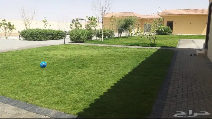 شاليه فاخر للايجار اليومي بالعمارية 26