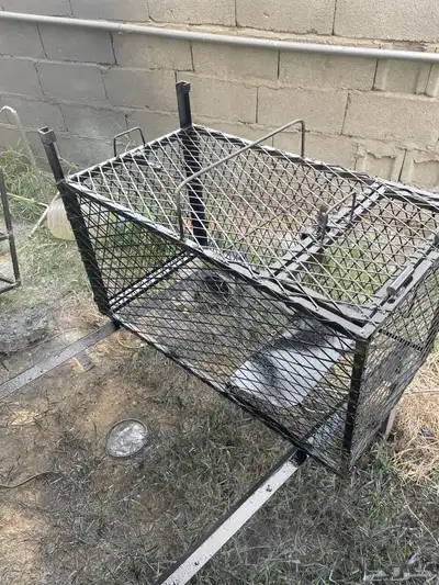 مصيدة قطط 0