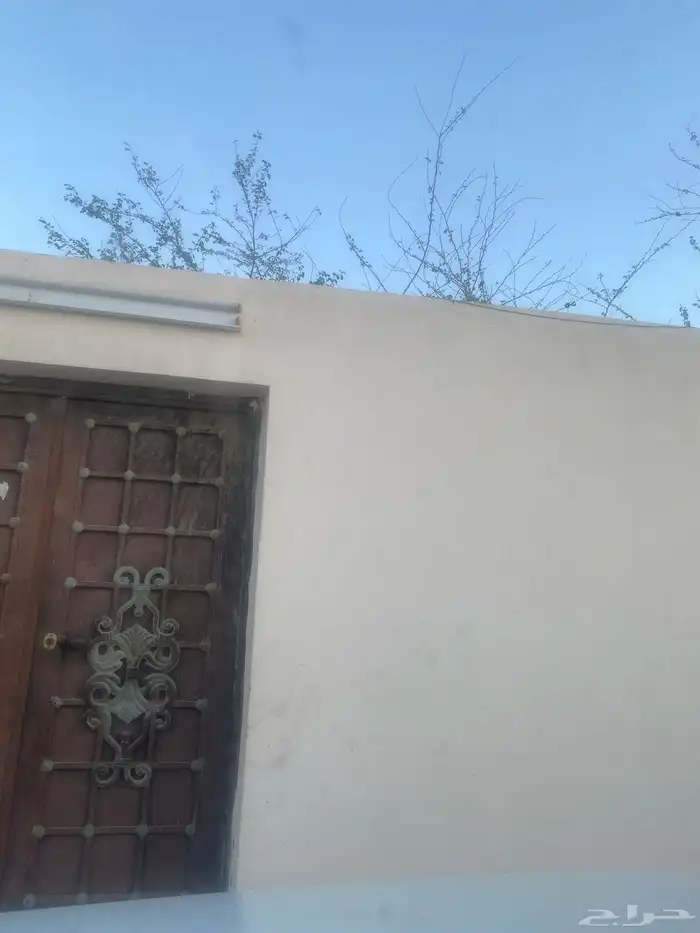 بيت لا يجار 0