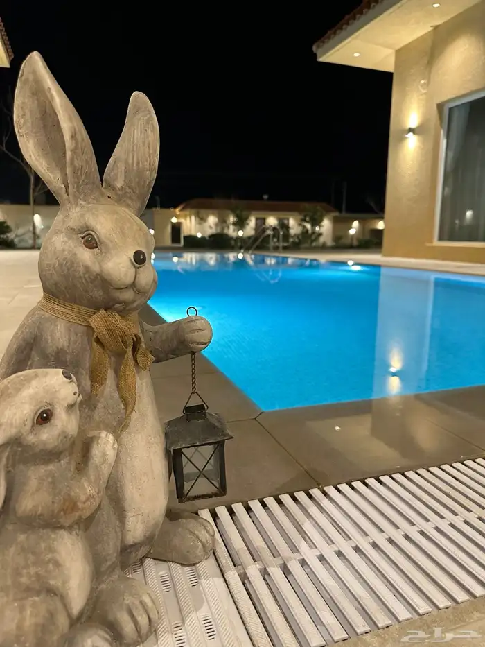 شاليه فاخر للايجار اليومي بالعمارية 0