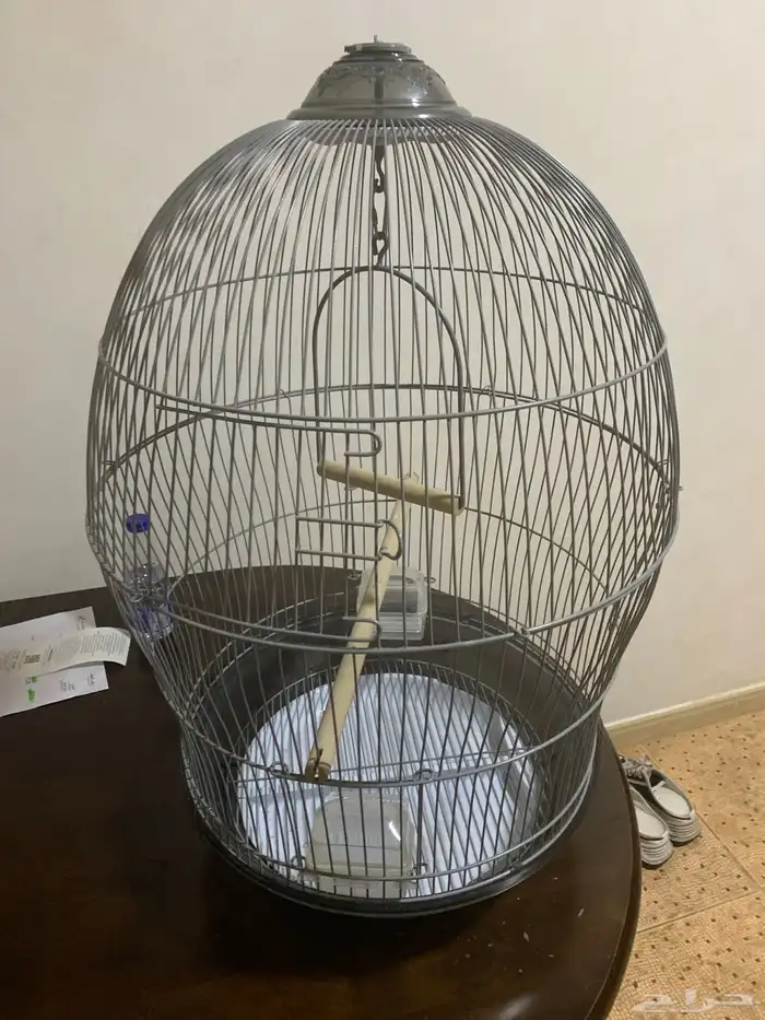 قفص جديد 0