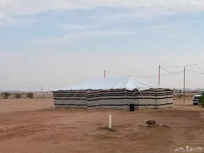 بيت شعر ابيض بيوت شعر بيض 9