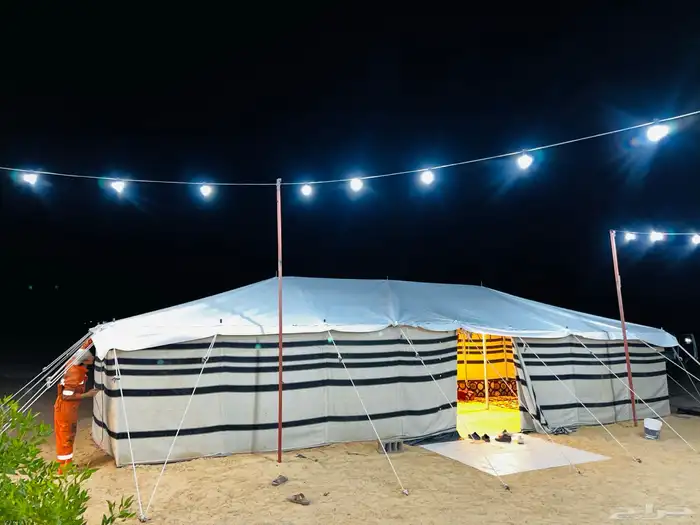 بيت شعر ابيض بيوت شعر بيض 13