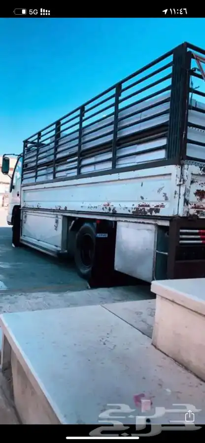 دينا شبك متواجد في بريده بسعر مغري 0