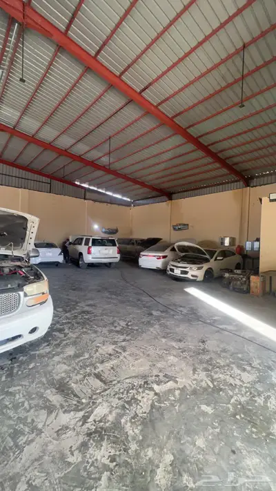 ورشة المبدع الذهبي طريف 14