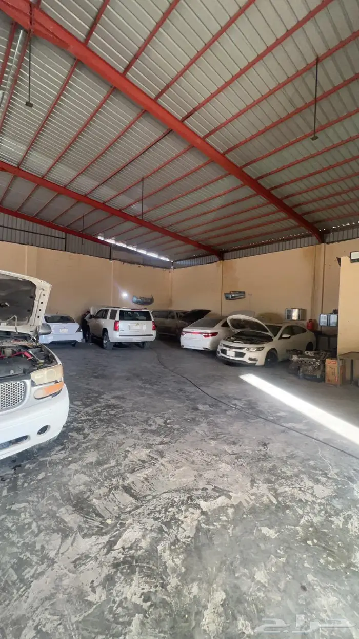 ورشة المبدع الذهبي طريف 14