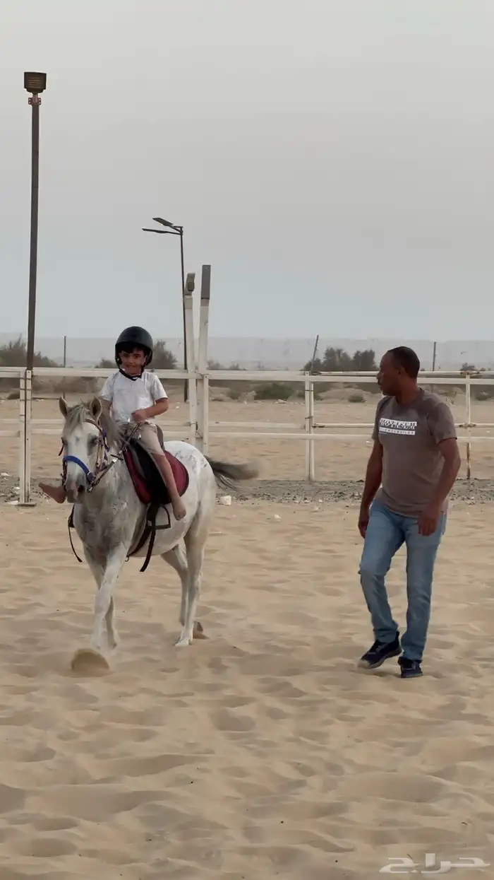 تدريب على ركوب الخيل وعسف وتدريبات اخرى 2