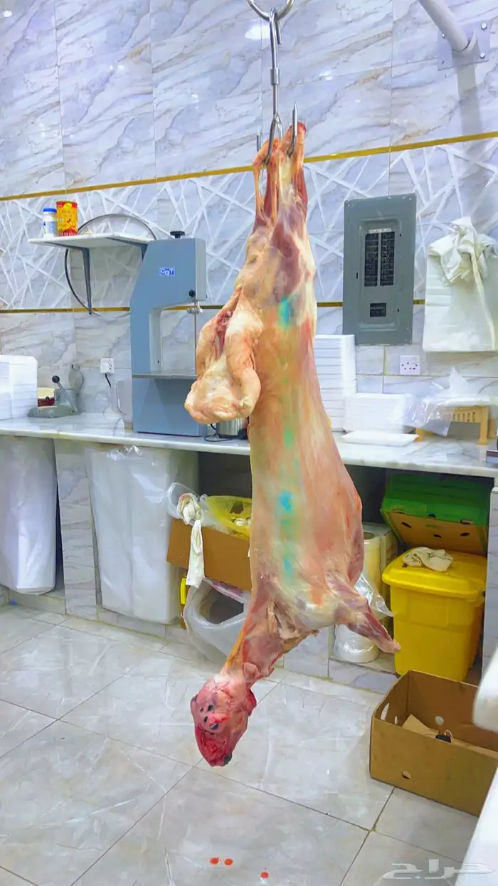 معلم مشويات 10