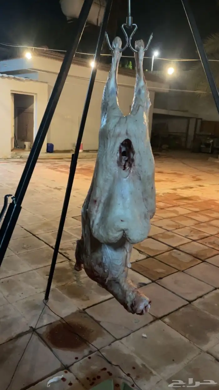 معلم مشويات 9