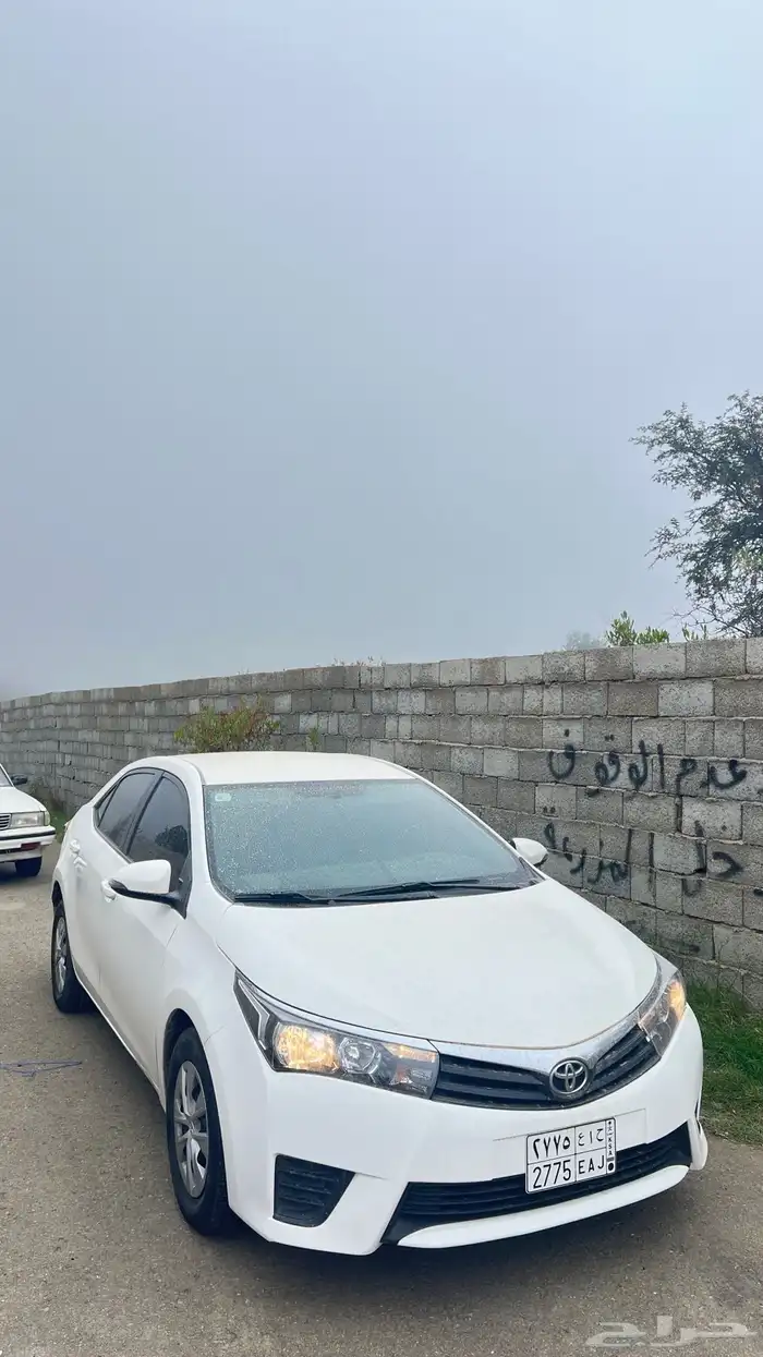كورلا 2014 2