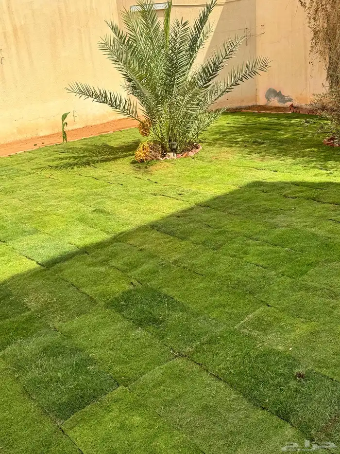تنسيق الحواض الطبيعية 8