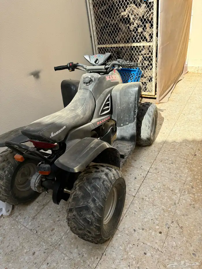 دباب تايواني 0