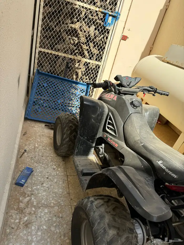 دباب تايواني 2