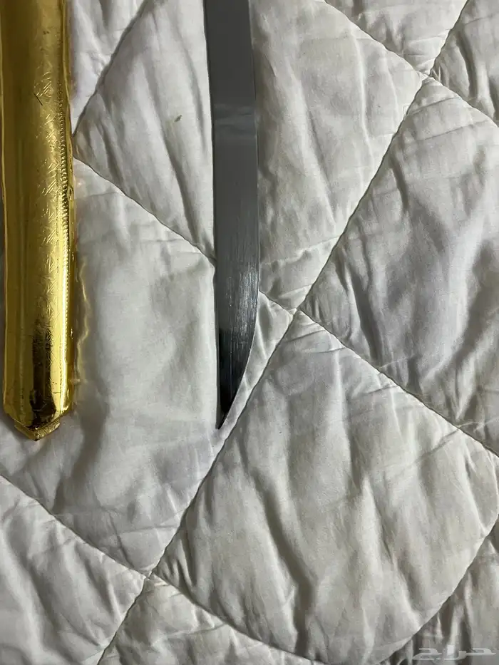 سيوف سورية 17