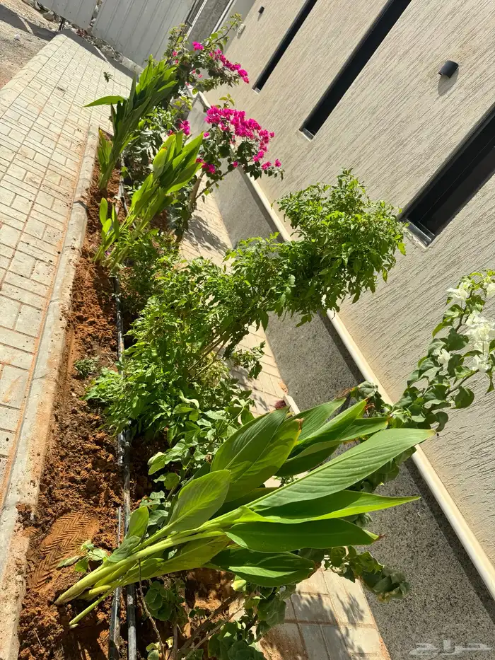 تنسيق الحواض الطبيعية 1