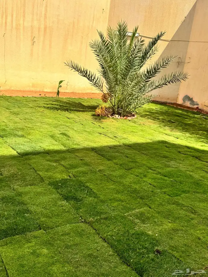 تنسيق الحواض الطبيعية 6