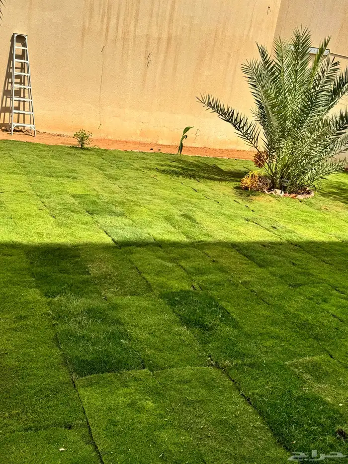 تنسيق الحواض الطبيعية 7