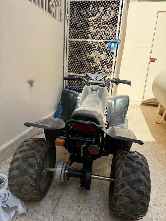دباب تايواني 1