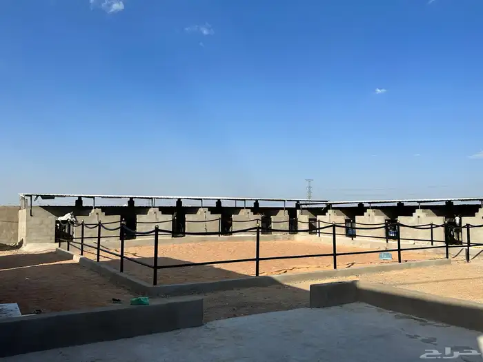 ايواء خيل 0