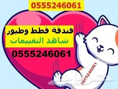 فندقة قطط وطيور - شاهد 30 تقييم من الزبائن - حي المصيف 1
