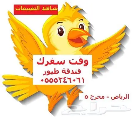 فندقة قطط وطيور - شاهد 30 تقييم من الزبائن - حي المصيف 2