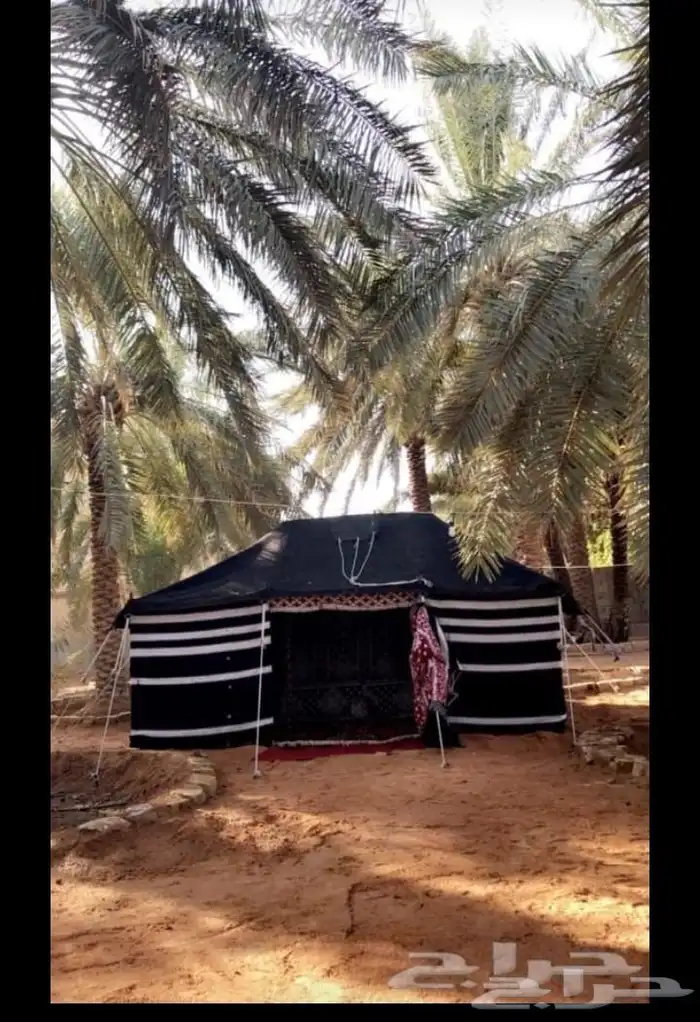 يتوفر تفصيل جميع مقاسات بيوت الشعر والخيم ومستلزمات البر 26