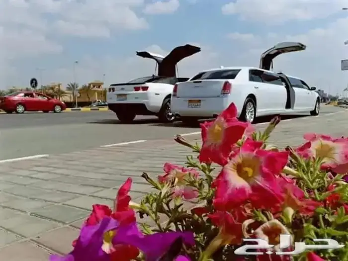 صناع السعادة بالقاهرة 6