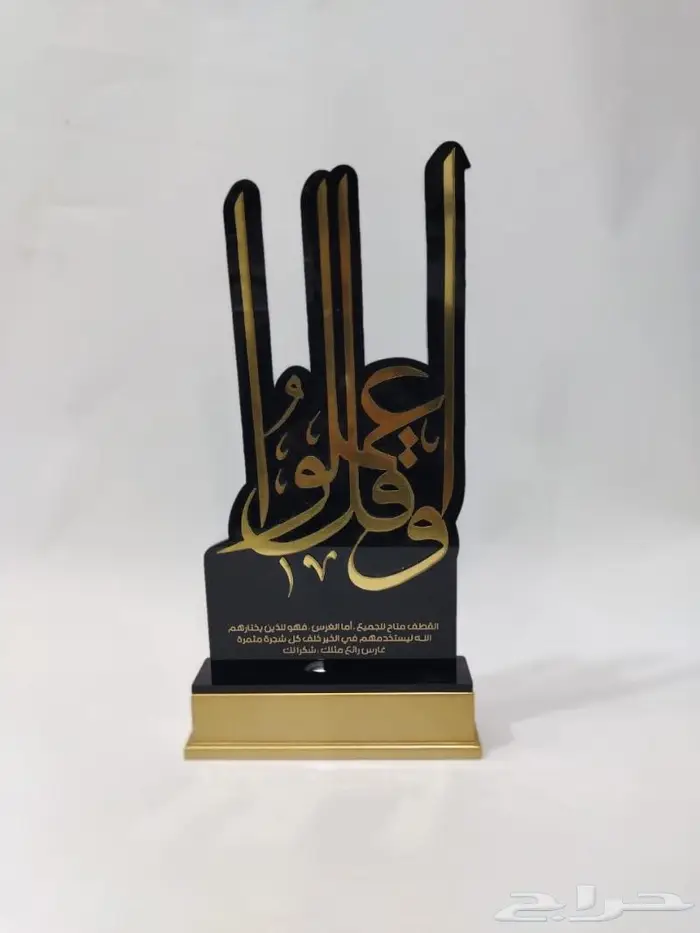 دروع VIP وعلى حسب طلبك 2