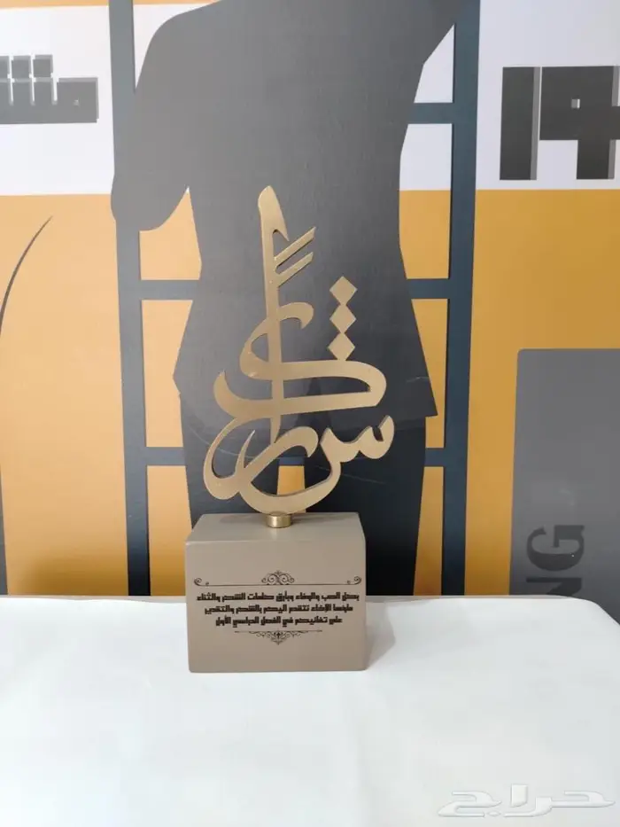 دروع VIP وعلى حسب طلبك 6