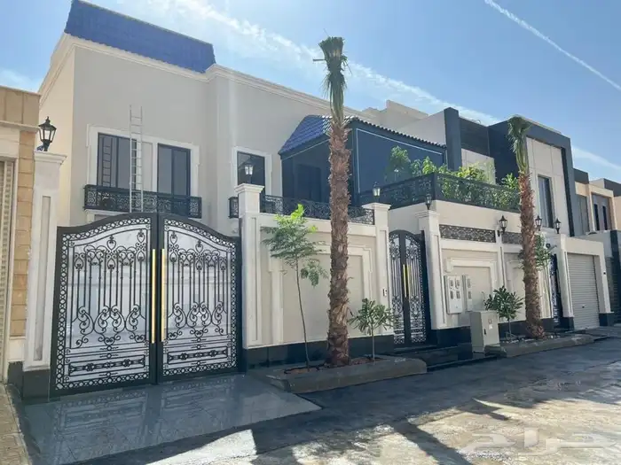 نخل واشنطني زينه للبيع 10