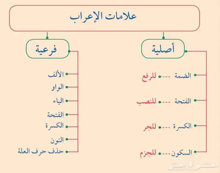 مدرس لغة عربية أردني جميع المراحل الدراسية 1