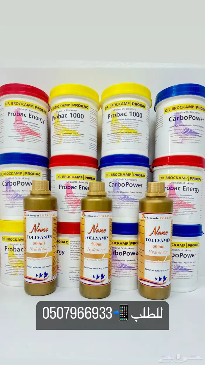 حمام زاجل مفاتيح النجاح 0