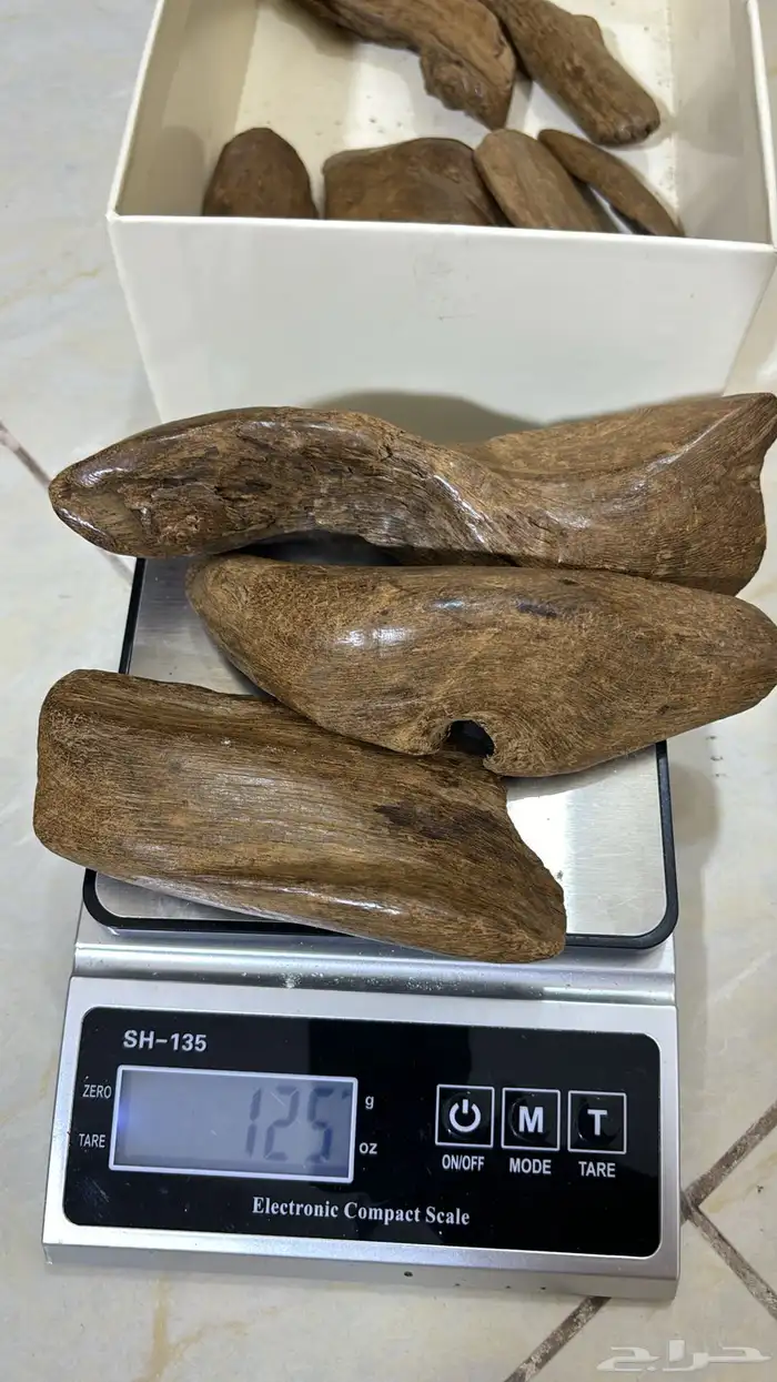 عود مروكي كسر مباخر حجم التربل 7