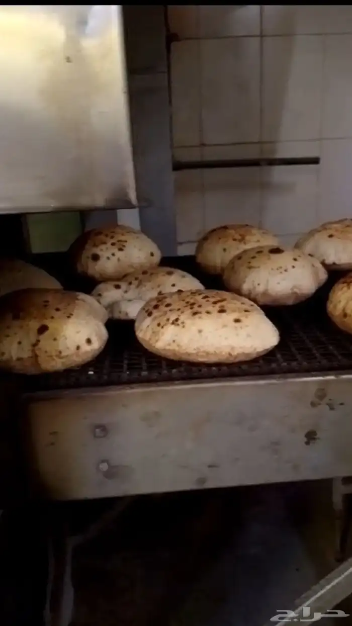 سير للخبز المصري 5m 0