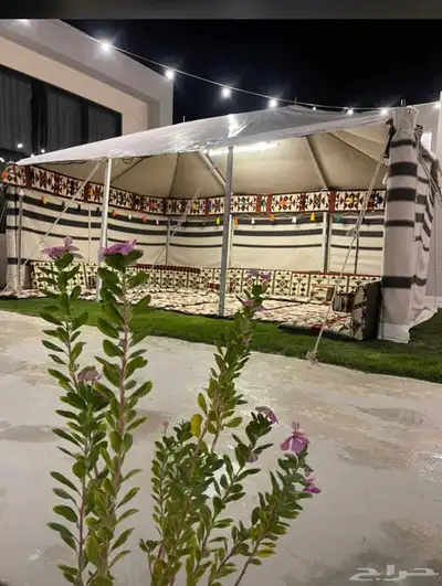 بيوت شعر ابيض عرعر 19