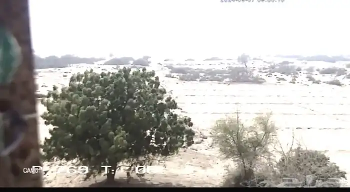 فرصة للاستثمار الواعد ارض زراعية كبيرة بمحافظة القنفذة 8