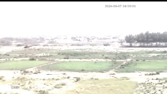 فرصة للاستثمار الواعد ارض زراعية كبيرة بمحافظة القنفذة 4